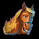 hope-diamond-horse-symbol