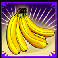 jungle-monkeys-bananas-symbol