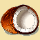 jungle-monkeys-coconut-symbol