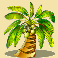 jungle-monkeys-palm-tree-symbol