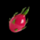 kitty coins dragon fruit symbol