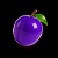 kitty coins plum symbol