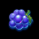 tropicool 5 slot blackberry symbol