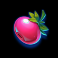 tropicool 5 slot red berry symbol