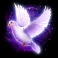 vegas-magic-slot-dove-symbol