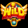 wild-ride-wild-symbol