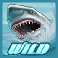 wild-water-shark-wild-symbol