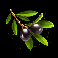 age of the gods goddess of wisdom olive branch symbol