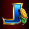 chicken-fox-slot-j-symbol