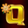 chicken-fox-slot-q-symbol