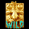 easter-island-2-wild-symbol