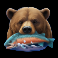 fisherman slam slot bear symbol
