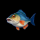 fisherman slam slot extra small fish symbol