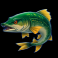 fisherman slam slot medium fish symbol