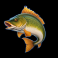 fisherman slam slot small fish symbol