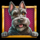 monopoly money magnate slot scatter symbol