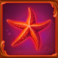 pearl reef gigablox™ multimax™ slot starfish symbol
