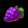 red hot multipliers slot grapes symbol