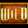 wishwood-slot-wild-symbol