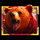 5 wild buffalo 3 bear symbol