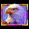 5 wild buffalo 3 eagle symbol