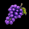 age-of-the-gods-mighty-midas-grapes-symbol