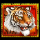 ancient tigers legacy tiger symbol