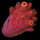 artifacts human heart symbol
