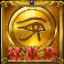 cat-wilde-and-the-doom-of-dead-slot-wild-symbol