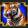 dragon power triple gold slot tiger symbol