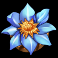 honey rush black and yellow slot blue flower symbol