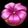 honey rush black and yellow slot pink flower symbol