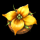 honey rush black and yellow slot yellow flower symbol