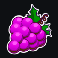 juicy explosion grapes symbol