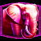 jungle-gorilla-elephant-symbol