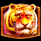jungle-gorilla-tiger-symbol