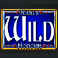 kings-honour-slot-wild-symbol