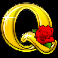 mustang-money-letter-q-symbol