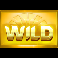 phoenix-sun-wild-symbol