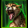 safari-gold-megaways-cheetah-symbol