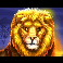 safari-gold-megaways-lion-symbol
