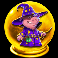 the pig wizard cash lock pig wizard wild symbol