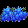 thunder coins xxl multicoin grapes symbol
