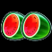 thunder coins xxl multicoin watermelon symbol