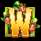 too many leprechauns wild symbol