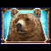 wild north radiant skies go collect bear symbol