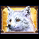 wild north radiant skies go collect fox symbol
