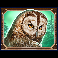 wild north radiant skies go collect owl symbol