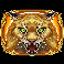 wild north radiant skies go collect wild lynx symbol