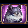 wild north radiant skies go collect wolf symbol